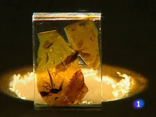 TeleCantabria - Telecantabria - 06/08/10