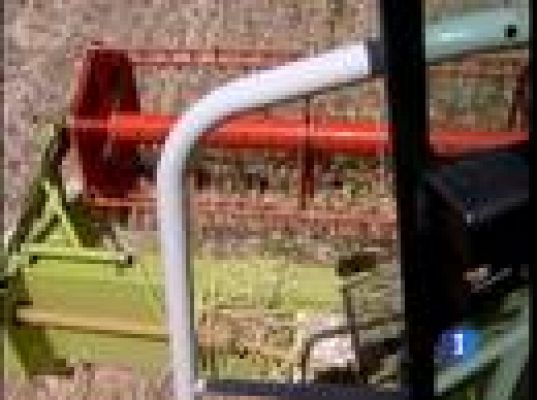  - Rusia no exportará cereales