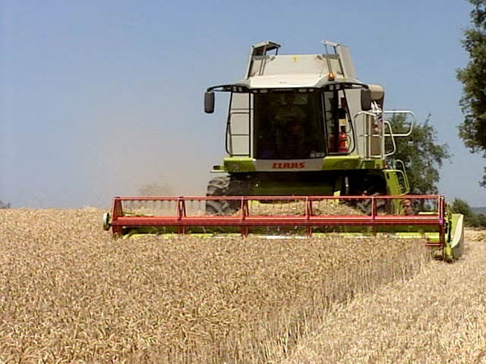 La suspensión de las exportaciones de cereales desde Rusia dispara su valor en los mercados | Ver