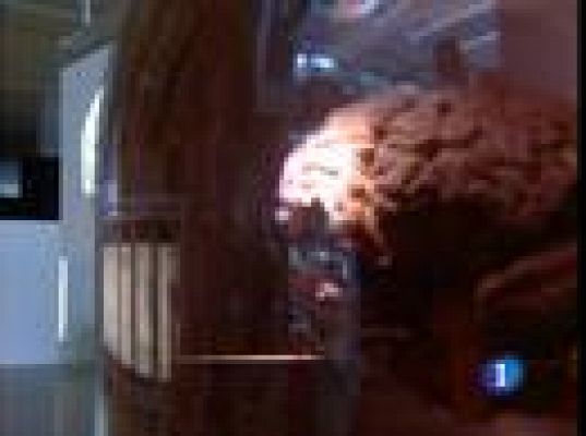  - Museo de la Evolución Humana