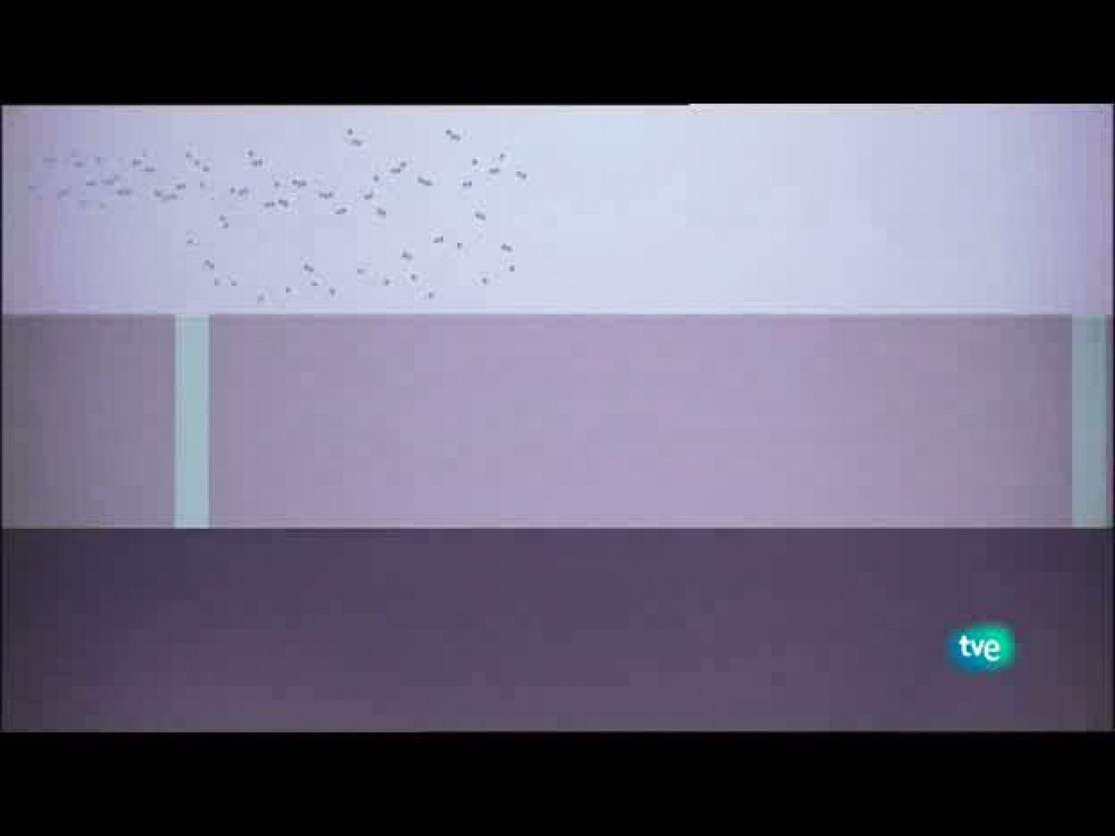 Jóvenes solistas - 06/08/10 - Jóvenes solistas | Ver