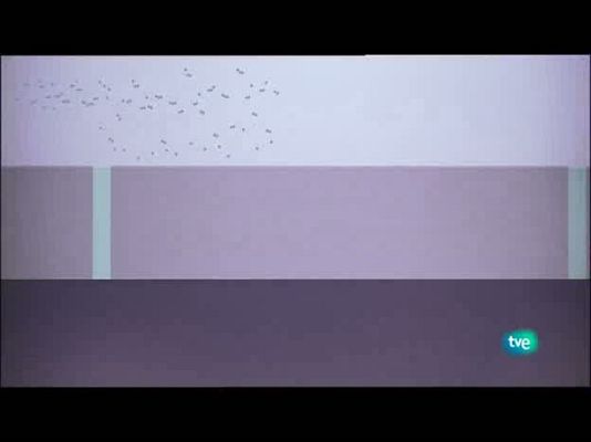 Jóvenes solistas - Jóvenes solistas - 06/08/10