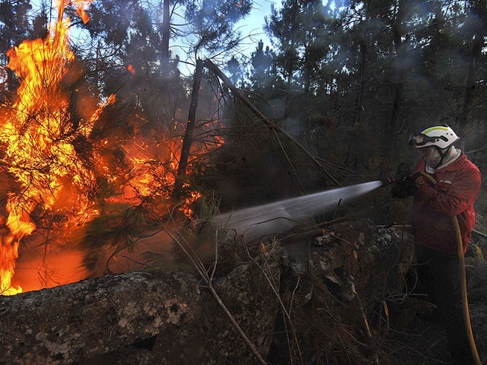  Diez trabajadores muertos en los últimos 15 días