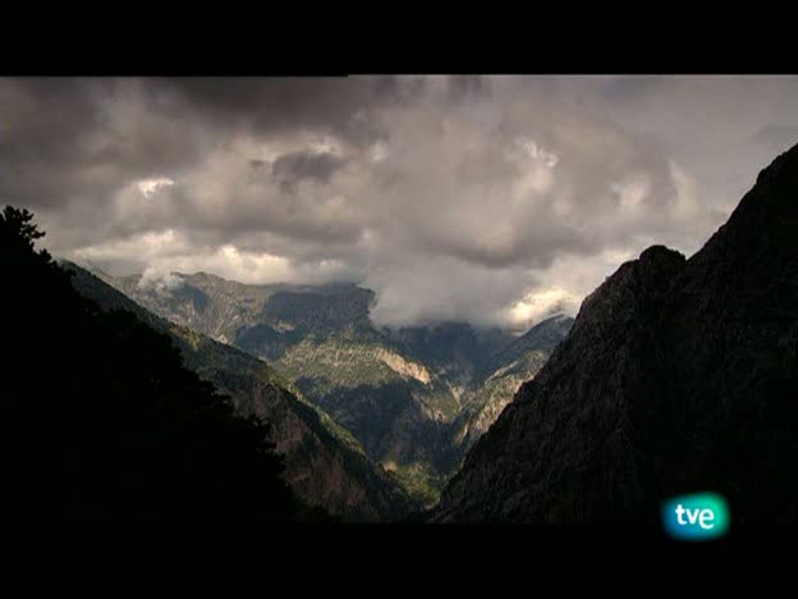 La dieta mediterránea - Lácteos; quesos y yogures - Ver ahora
