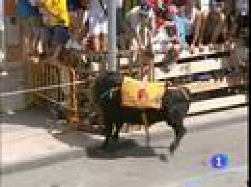Los aficionados a las fiestas del "correbous" de Tarragona  temen que la prohibición de las corridas de toros en Cataluña  les pase factura.