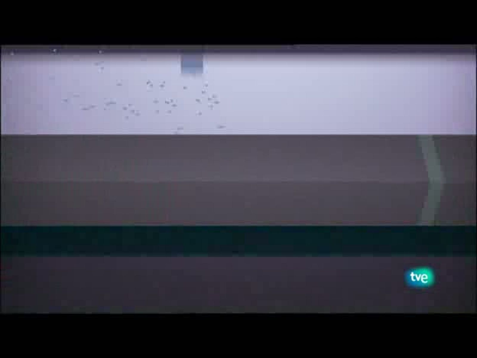 Jóvenes solistas - 20/11/11 - Ver Ahora