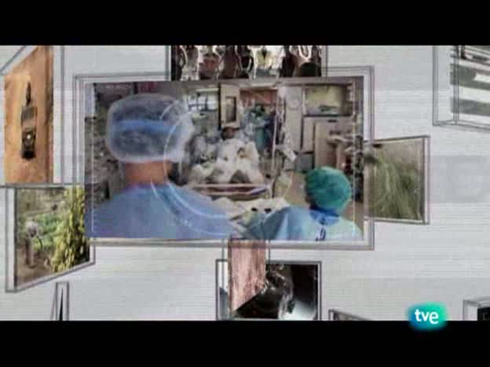 En realidad - Amigo caballo. Hace 100 años el caballo era imprescindible - En realidad | Ver