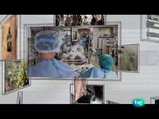 En realidad - Amigo caballo