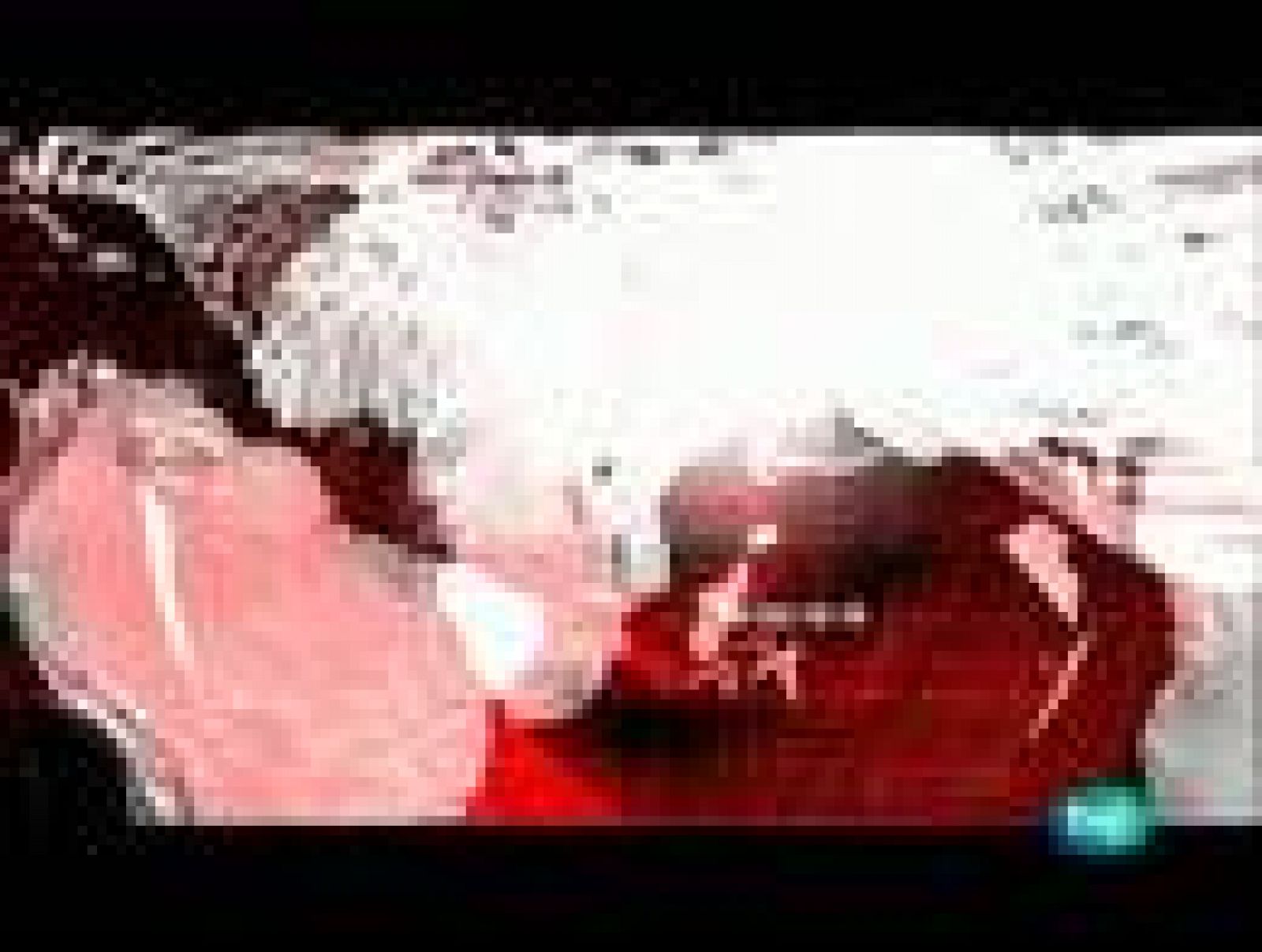 En portada - Las astillas del bosque ruso | Ver