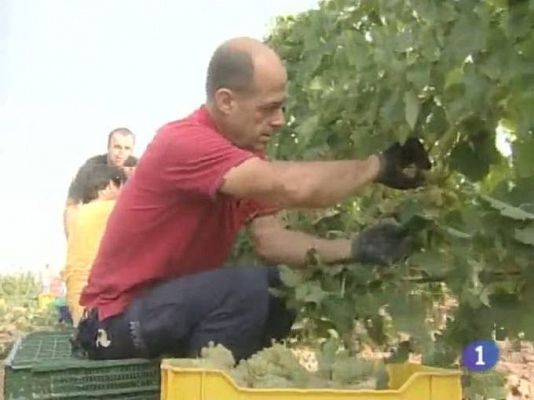 Noticias de Castilla-La Mancha - Noticias de Castilla La Mancha. Informativo de Castilla La Mancha. (09/08/10).