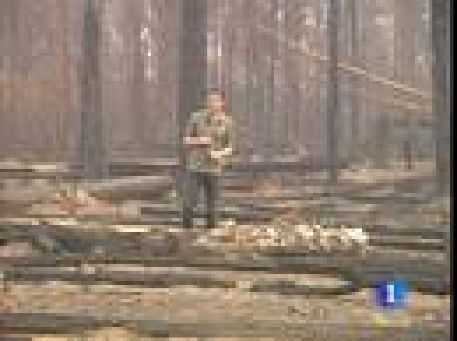 El calor y los fuegos multiplican por dos la mortalidad en Moscú | Ver