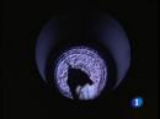  - Exposición sobre laberintos