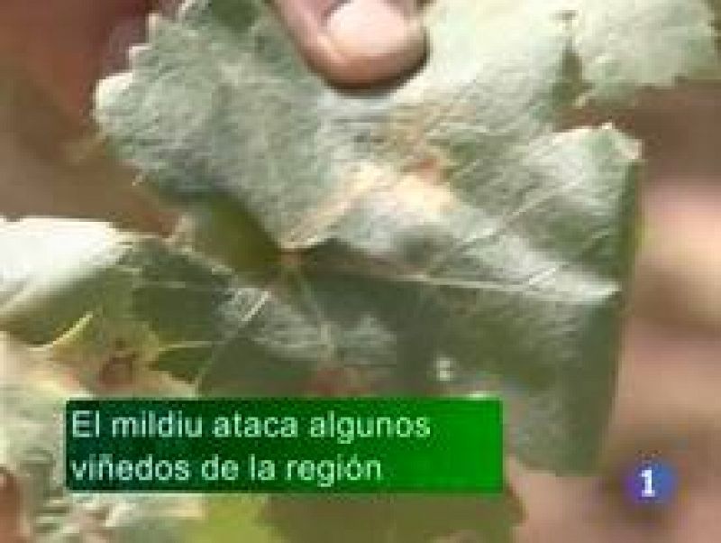  Noticias de Castilla La Mancha. Informativo de Castilla La Mancha. (10/08/10).