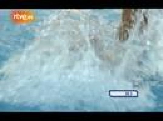  - Bronce para Duane da Rocha