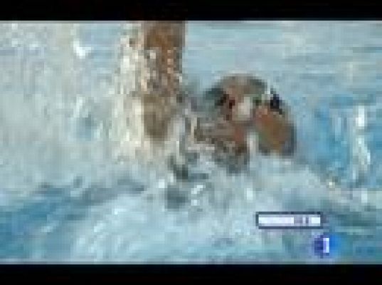  - Medallas para Muñoz y Da Rocha