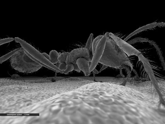 Ciencia y tecnología en Rtve.es - El mundo desde otra perspectiva