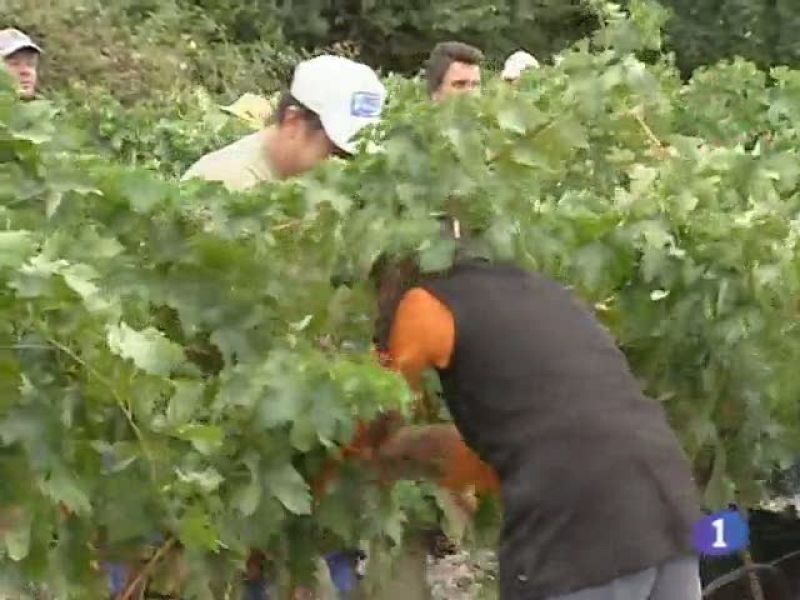  Noticias de Castilla La Mancha. Informativo de Castilla La Mancha. (12/08/10).