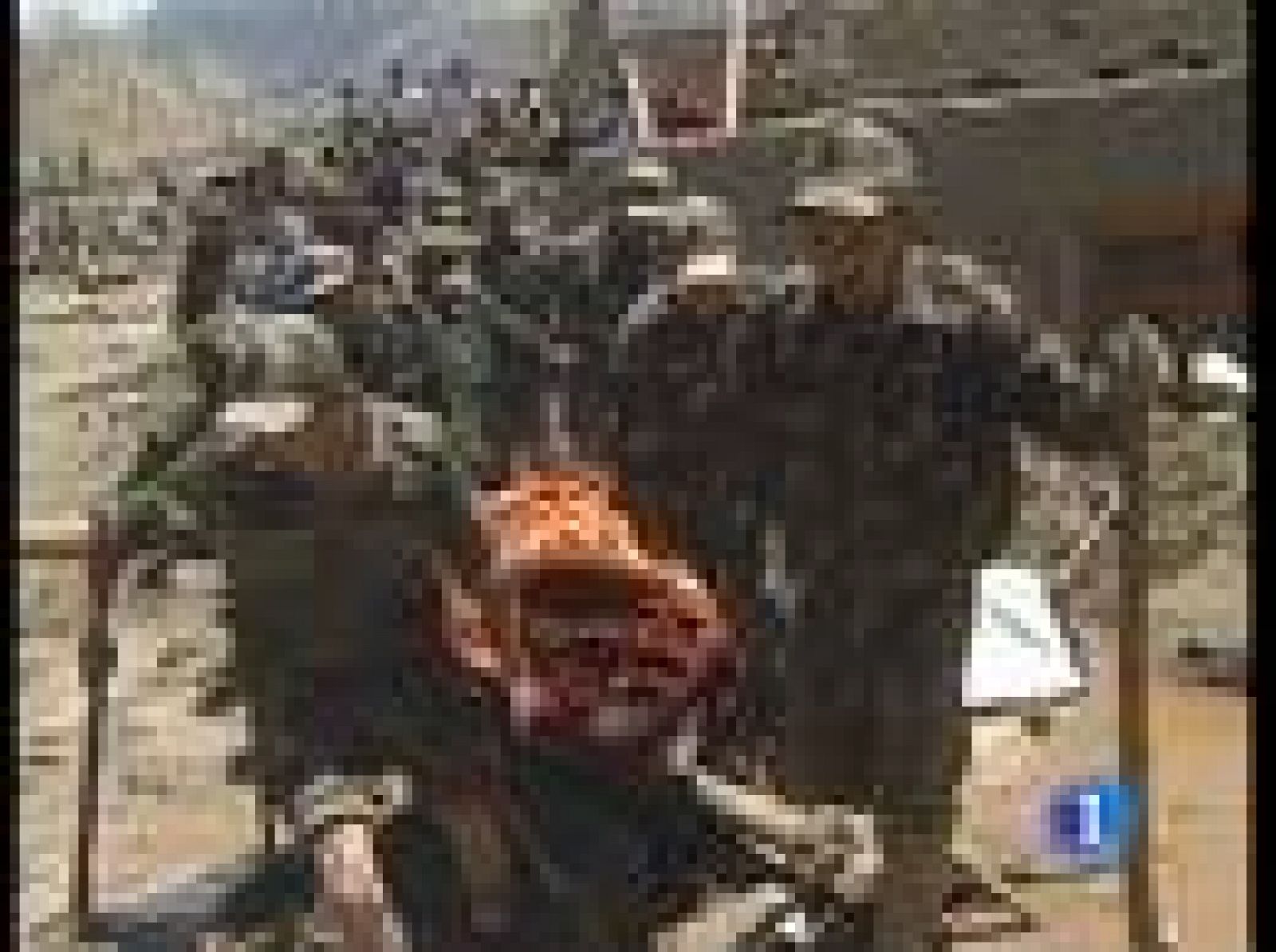 Continúa la búsqueda de la española