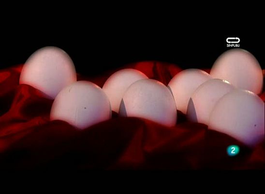 Mi reino por un caballo - Mi reino por un caballo - 12/08/10