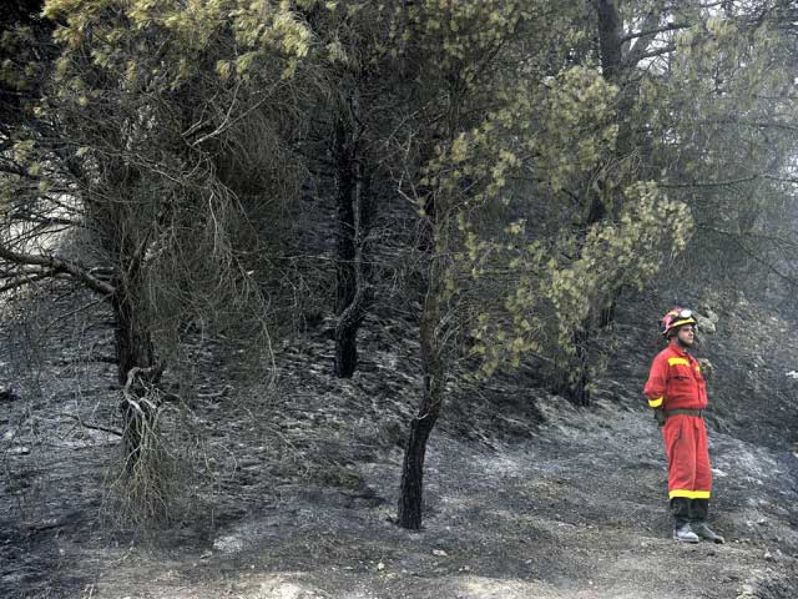 Hay cinco detenidos por su presunta implicación en el fuego.