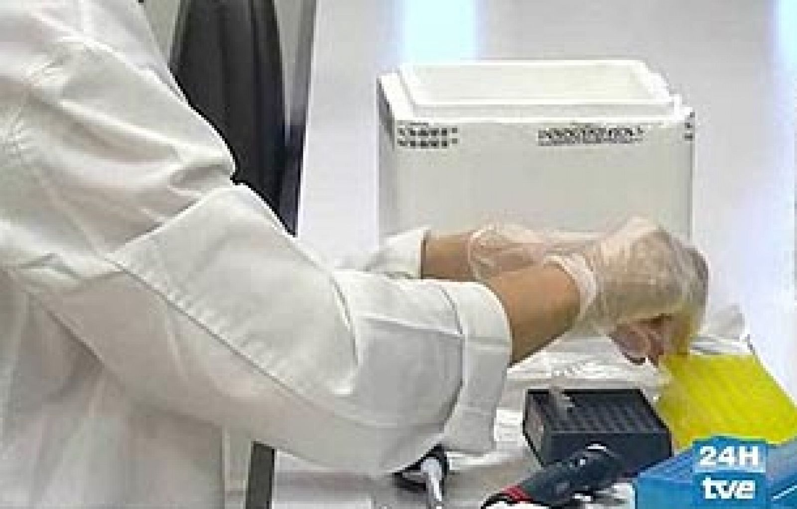 El Parlamento rechaza prohibir la investigación con embriones híbridos - Ciencia y tecnología en Rtve.es | Ver