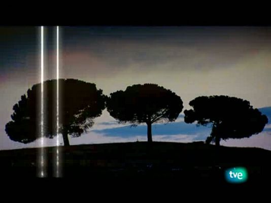 La dieta mediterránea - El trigo