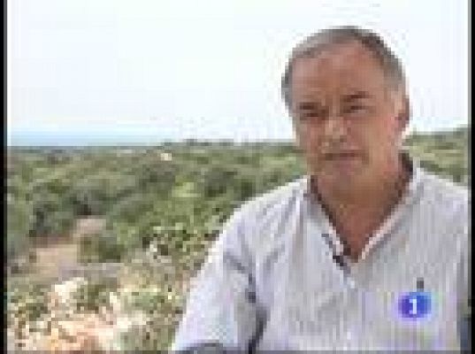  - Pons critica las primarias del PSM