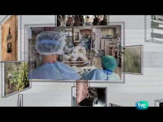 En realidad - Guerreros de hoy