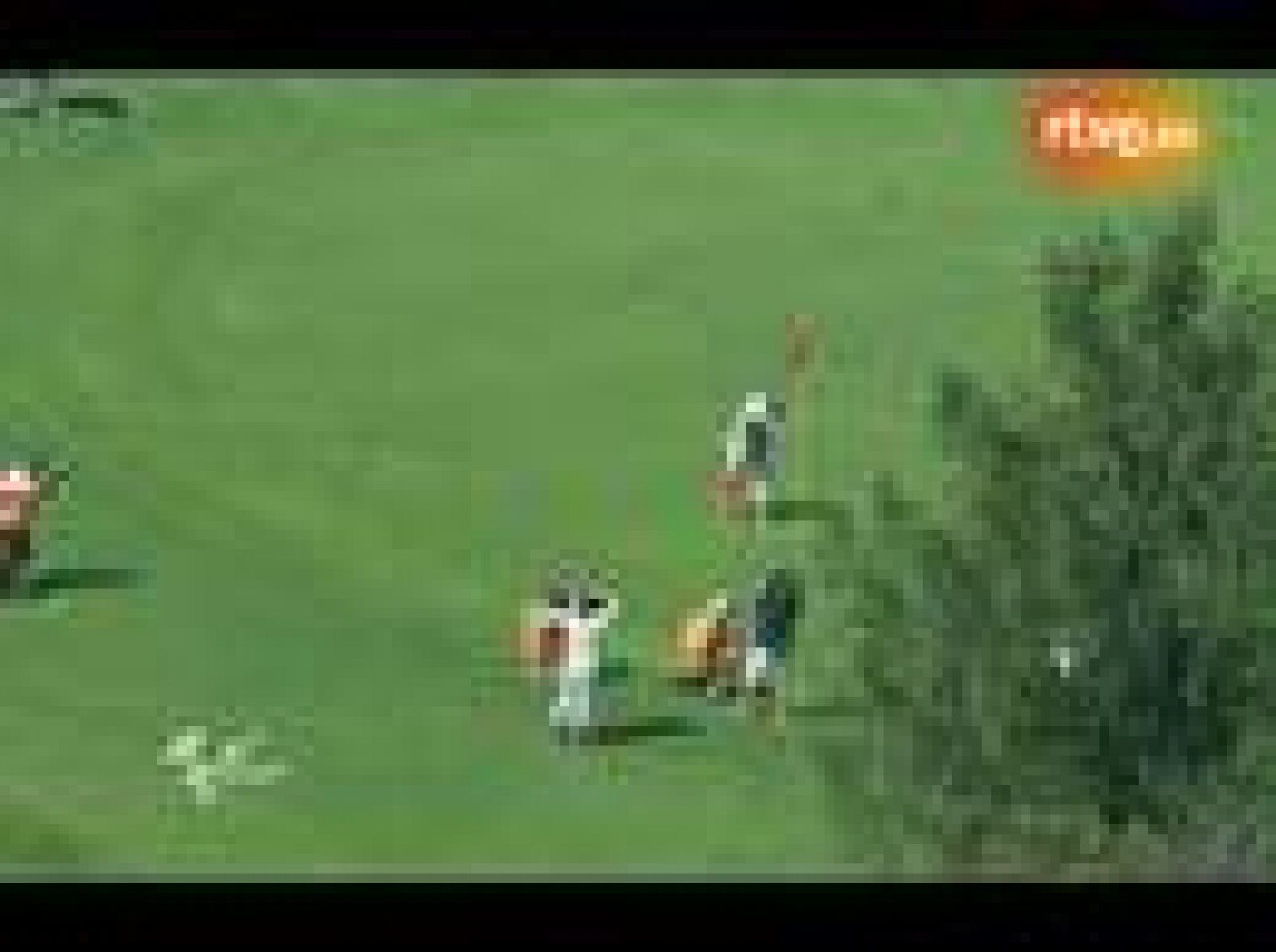 Jorge Lorenzo ha imitado a los jugadores de golf para celebrar su triunfo en Brno, el séptimo de la temporada.