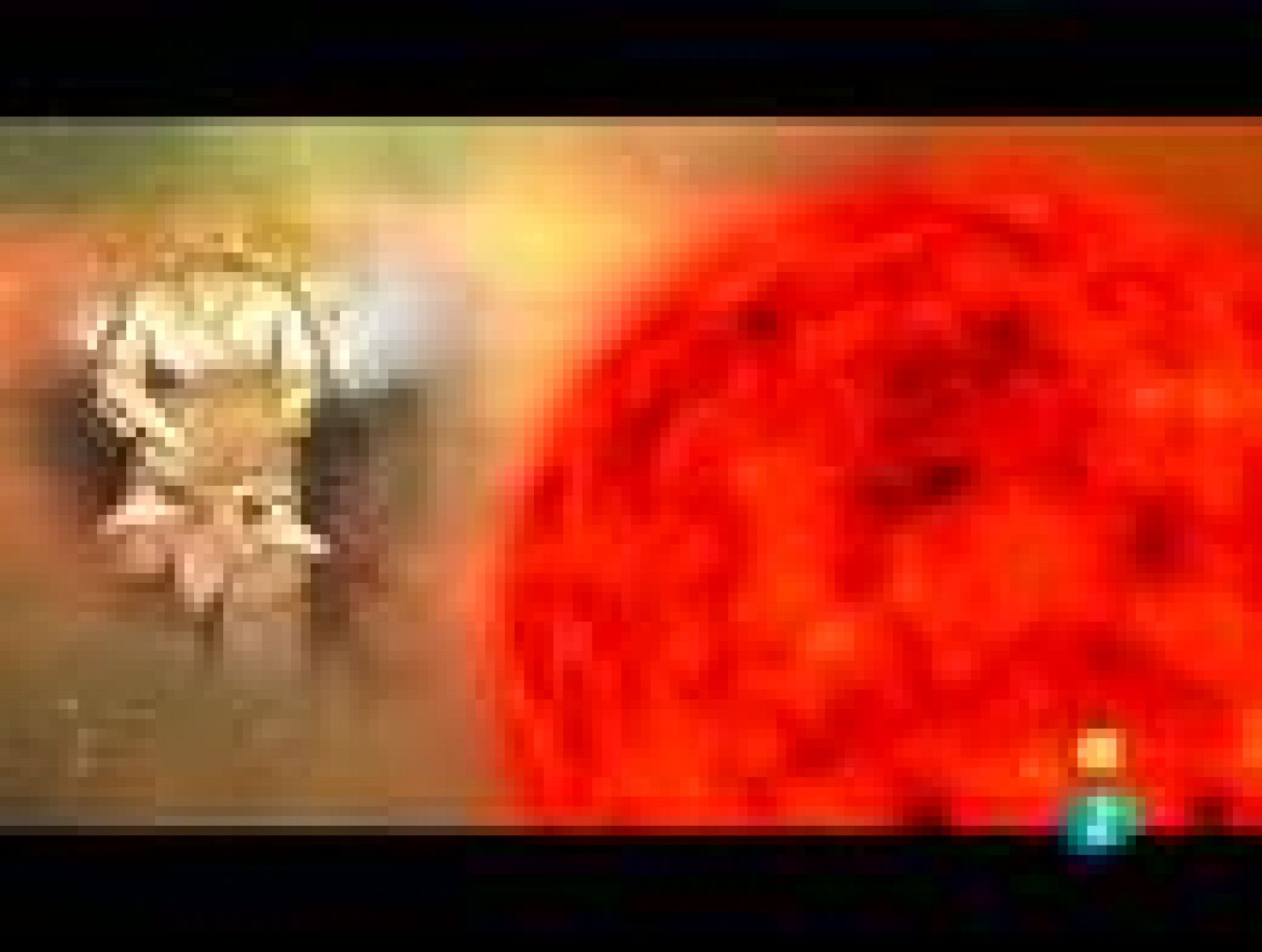 Archivos Sinapsis (15/08/10):  Laika