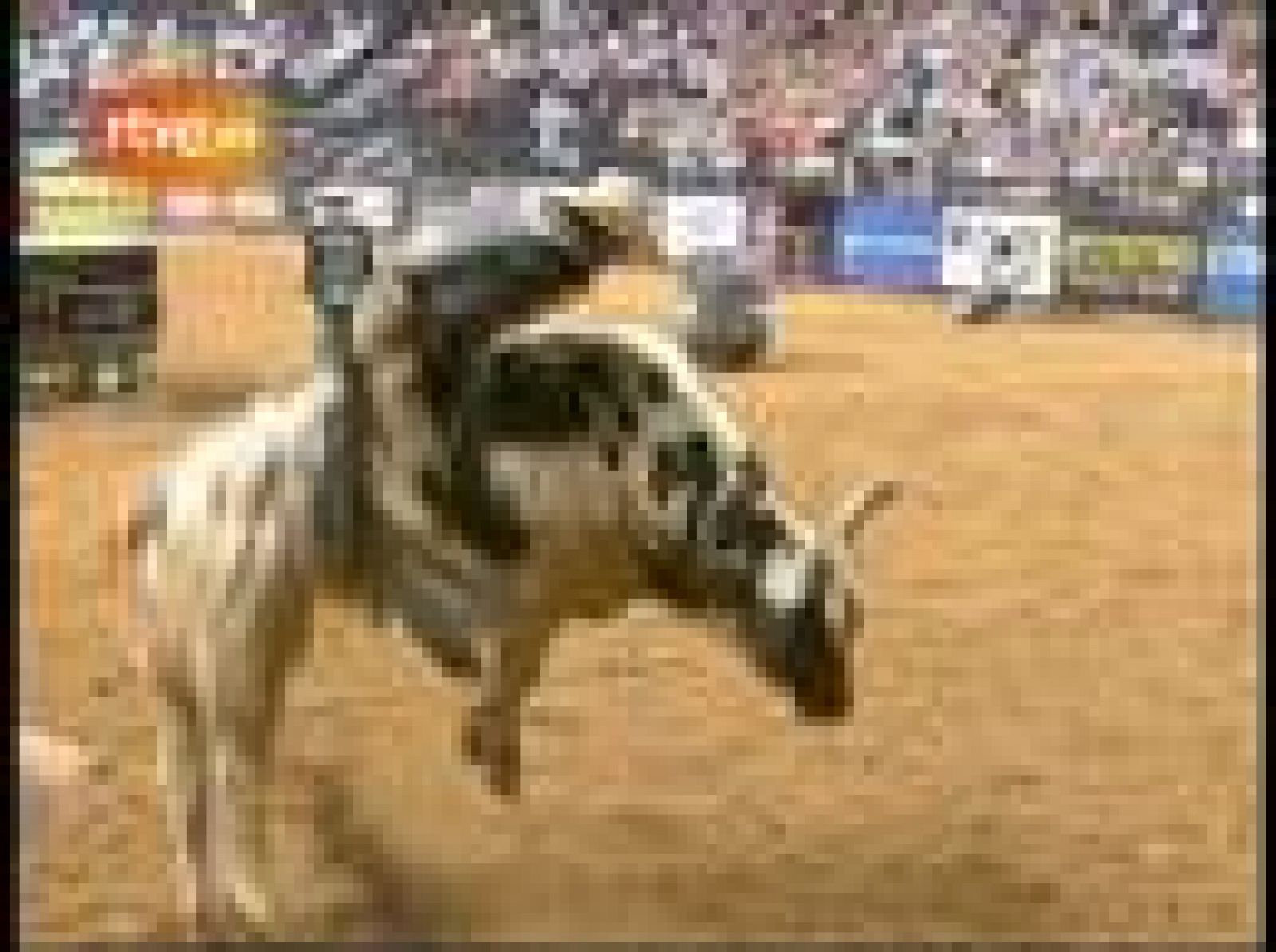 Derroche de adrenalina en el rodeo | Ver