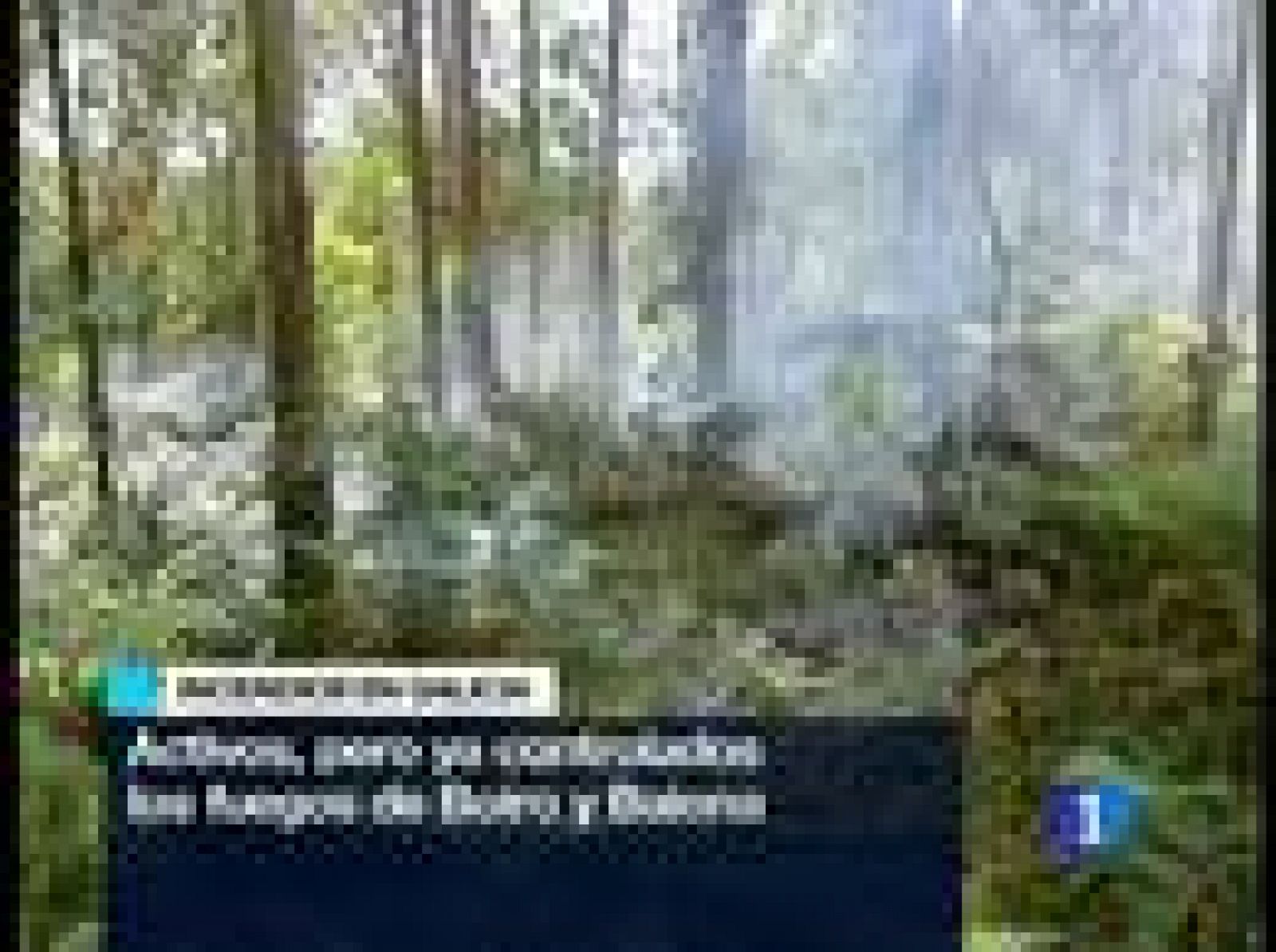 El TD1 en cuatro minutos (16/0810)