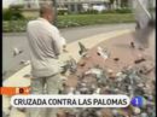 España Directo - Cruzada contra las palomas