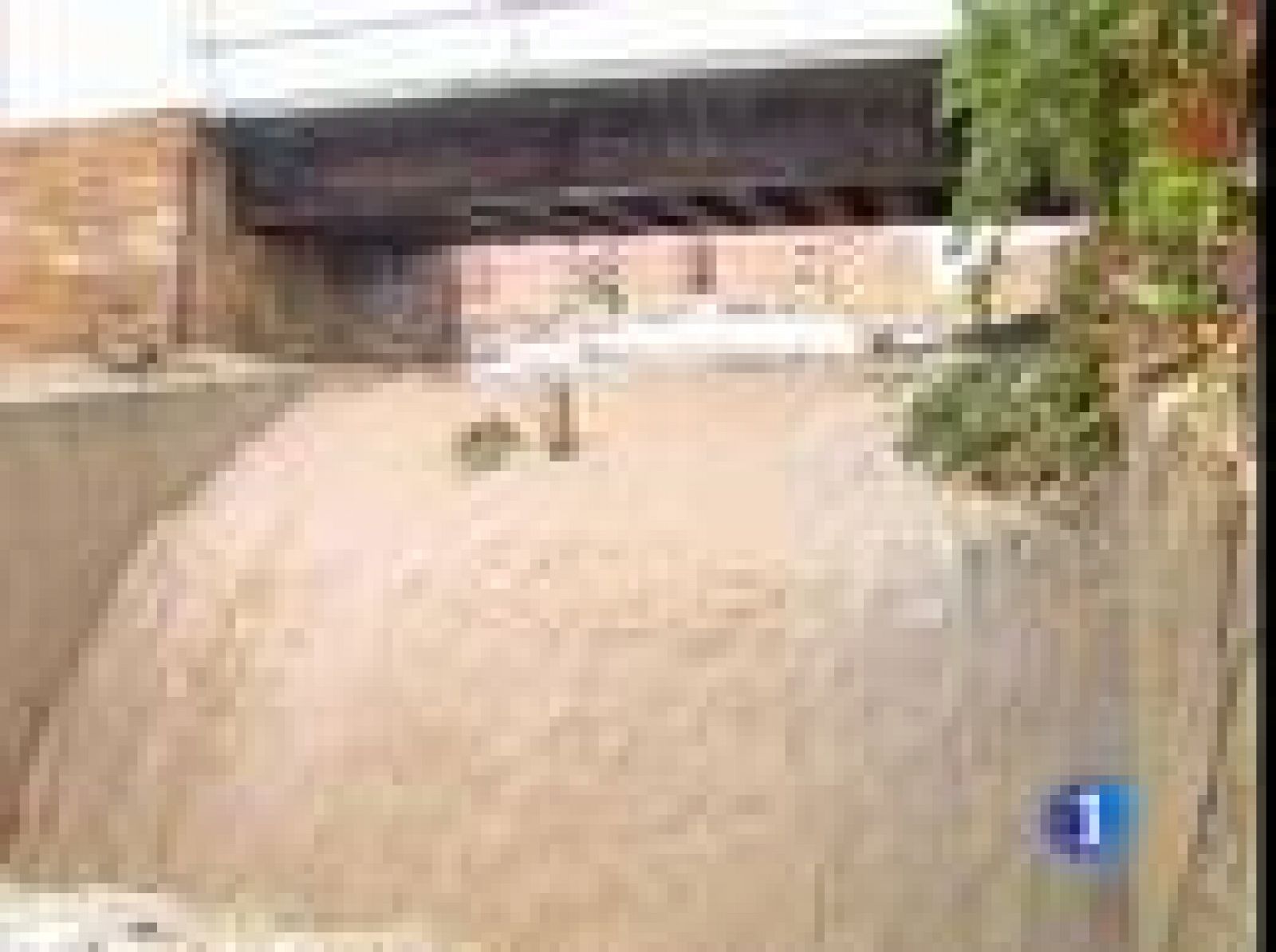 Sin programa: Intensas lluvias en Murcia | RTVE Play