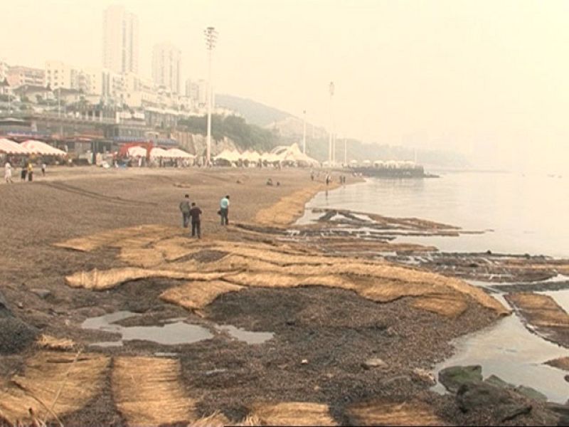 China, un mes después del vertido