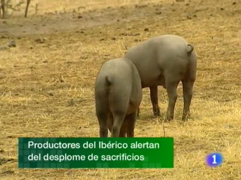  Noticias de Extremadura. Informativo Territorial de Extremadura. (17/08/2010)