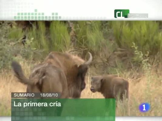 Noticias de Castilla y León - Noticias de Castilla y León - 18/08/10