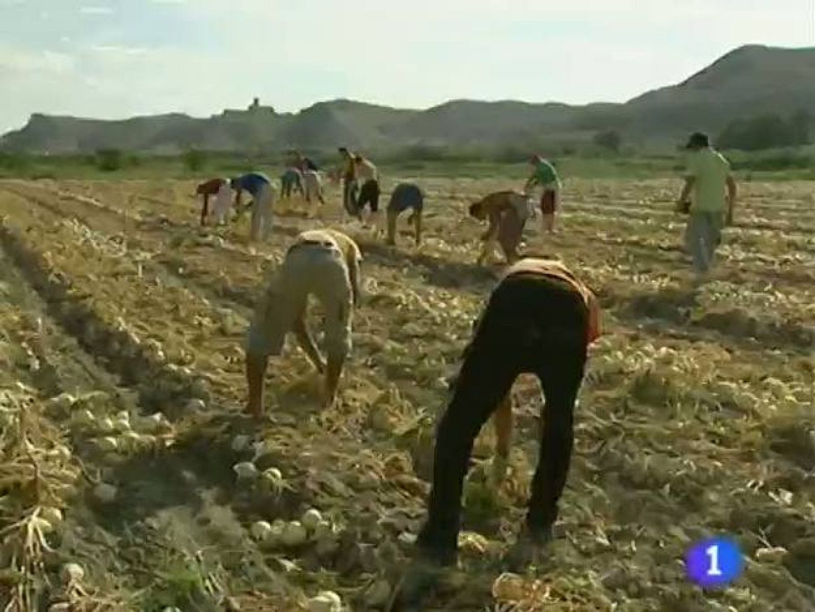 Noticias Aragón (18/08/2010)