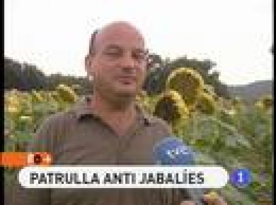 Patrulla anti jabalíes