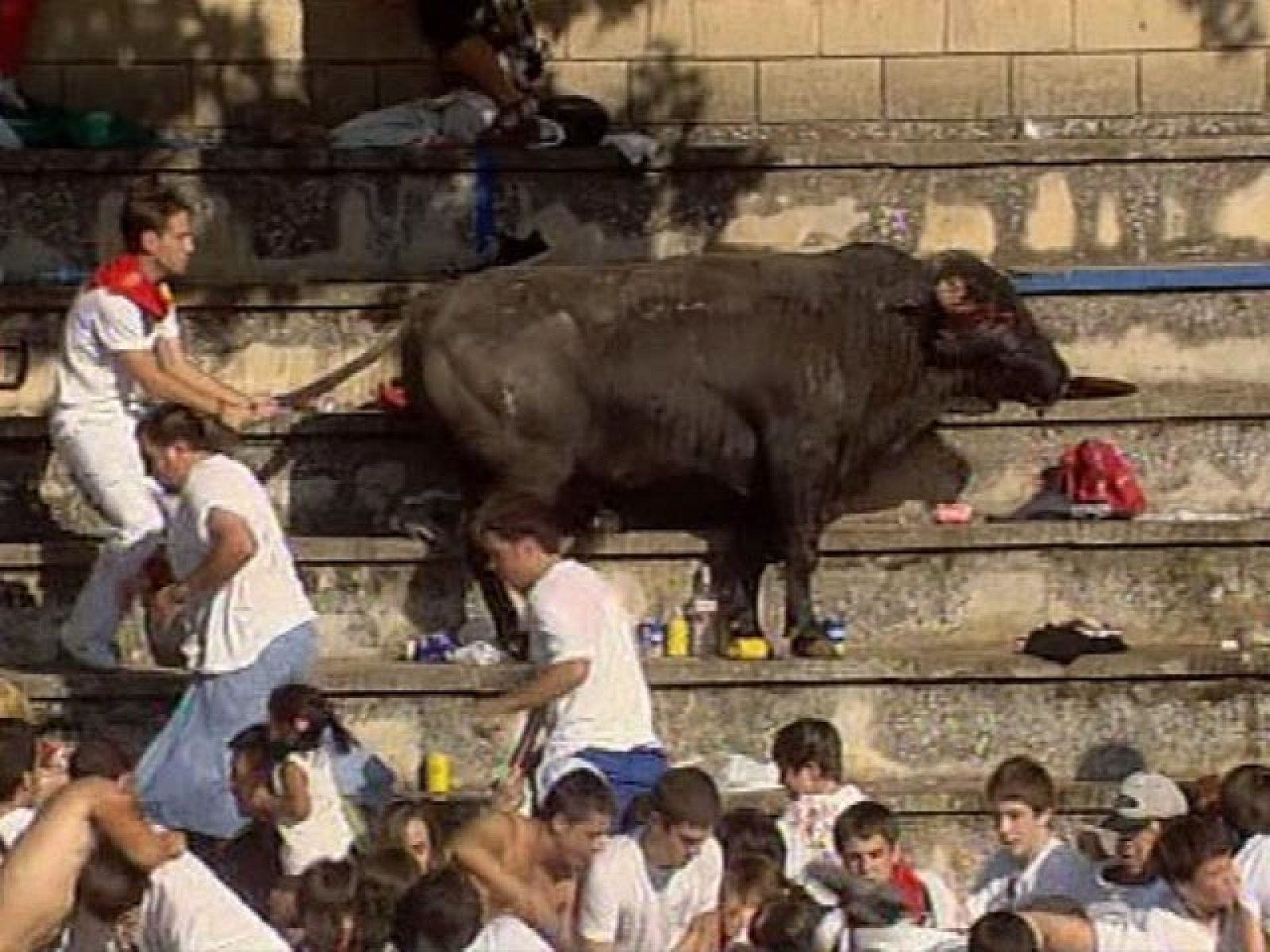 Tafalla se recupera del susto que dio "Quesero", el novillo que saltó al tendido y embistió al público | Ver