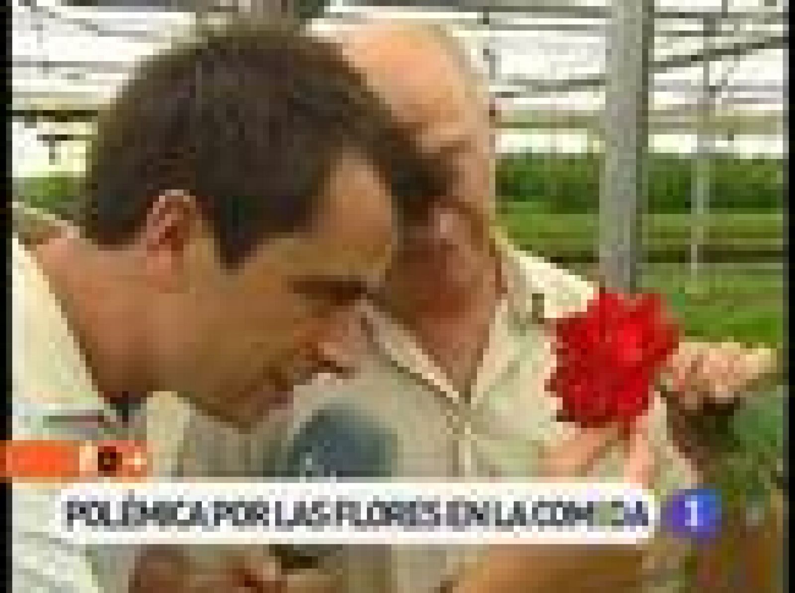 España Directo: ¿Es sano comer flores? | RTVE Play