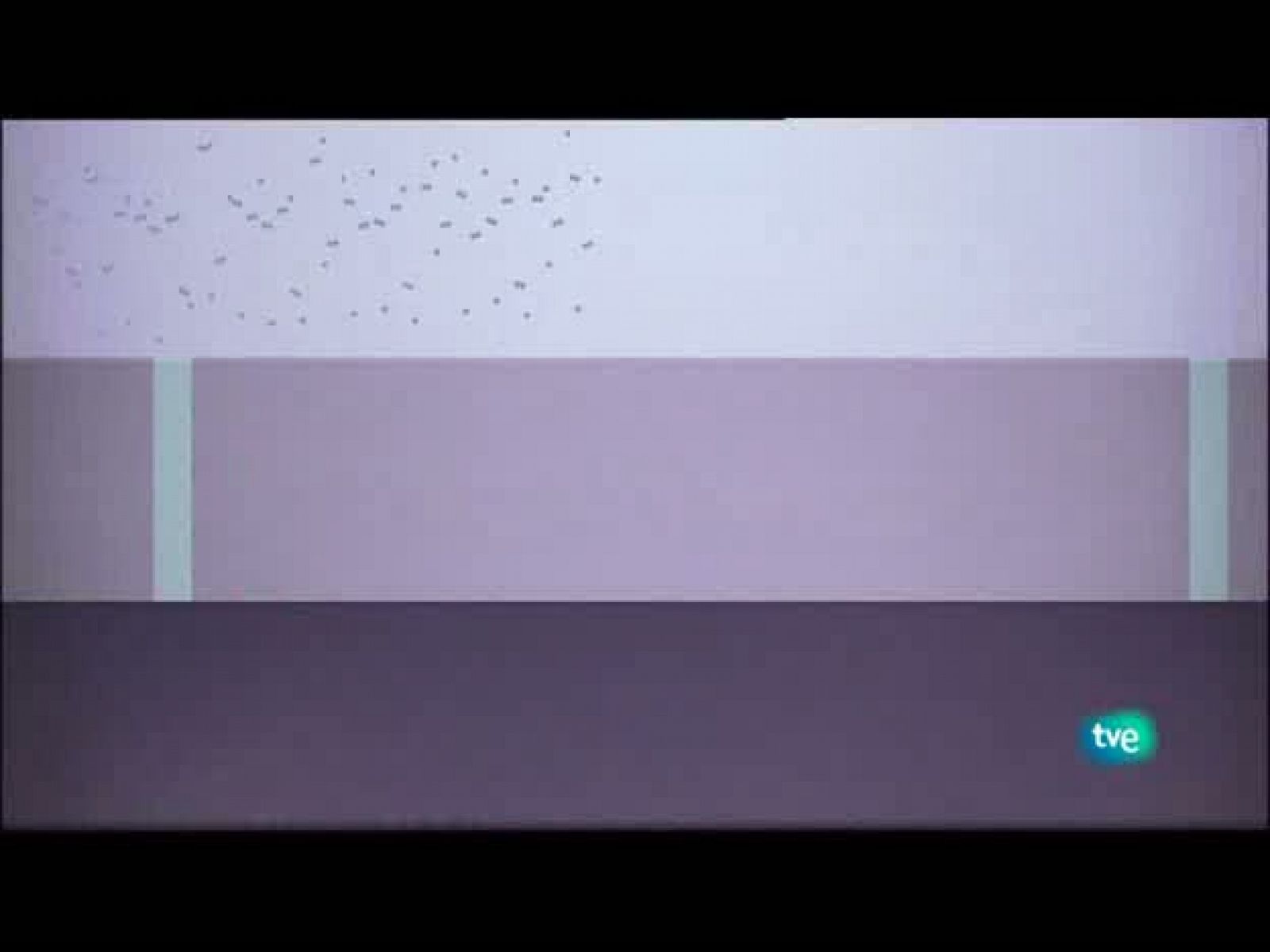 Jóvenes solistas - 22/08/10 - Ver ahora