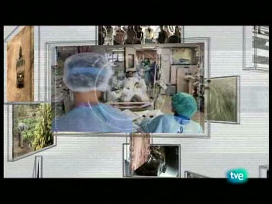 En realidad - Estamos a salvo