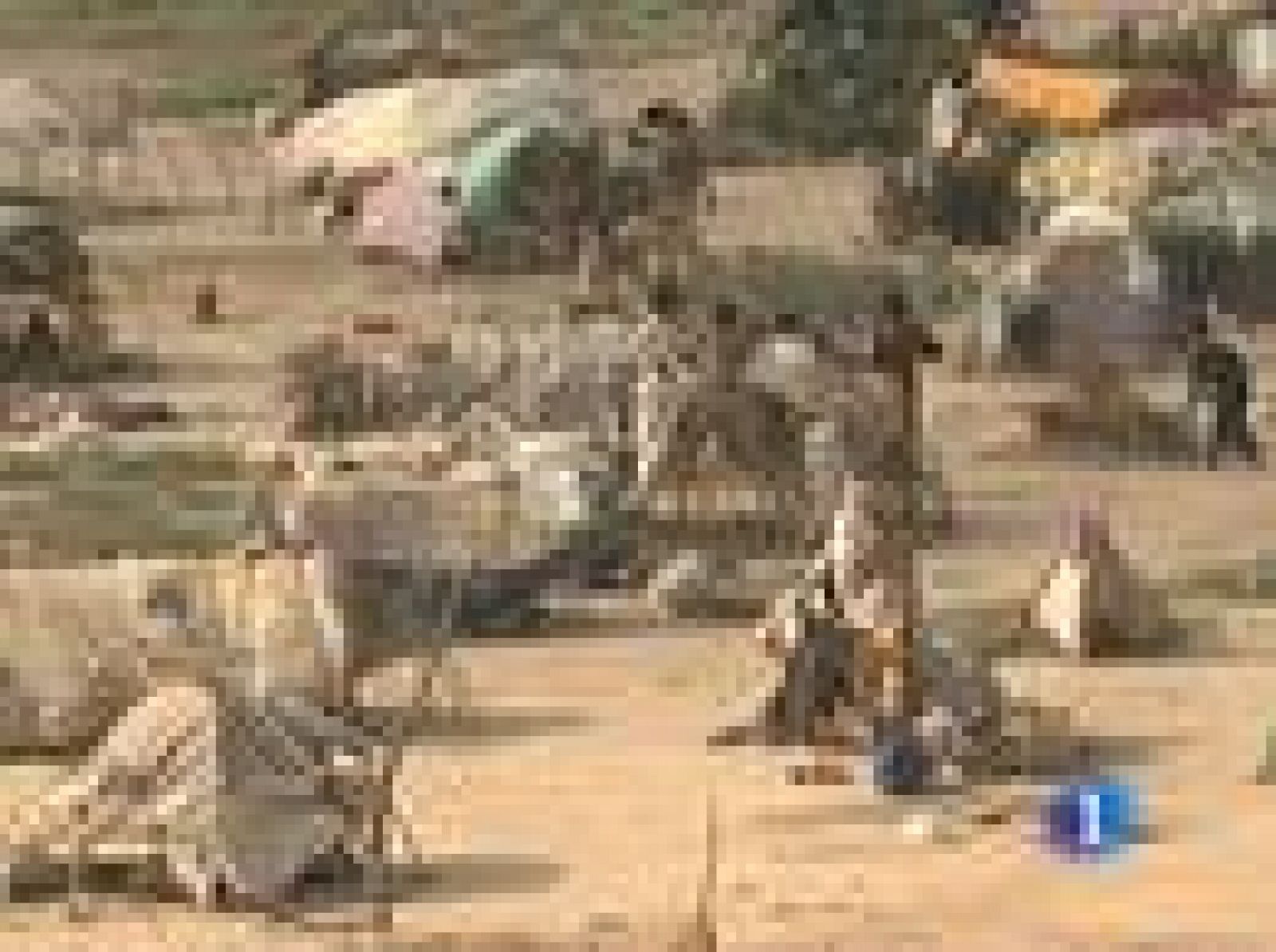 Pakistán negocia con el Fondo Monetario Internacional acelerar las ayudas a su país | Ver