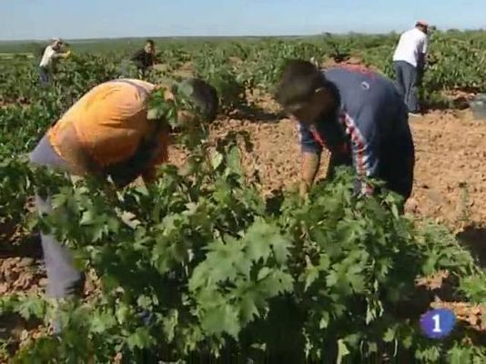 Noticias de Castilla-La Mancha - Noticias de Castilla La Mancha. Informativo de Castilla La Mancha. (24/08/10).