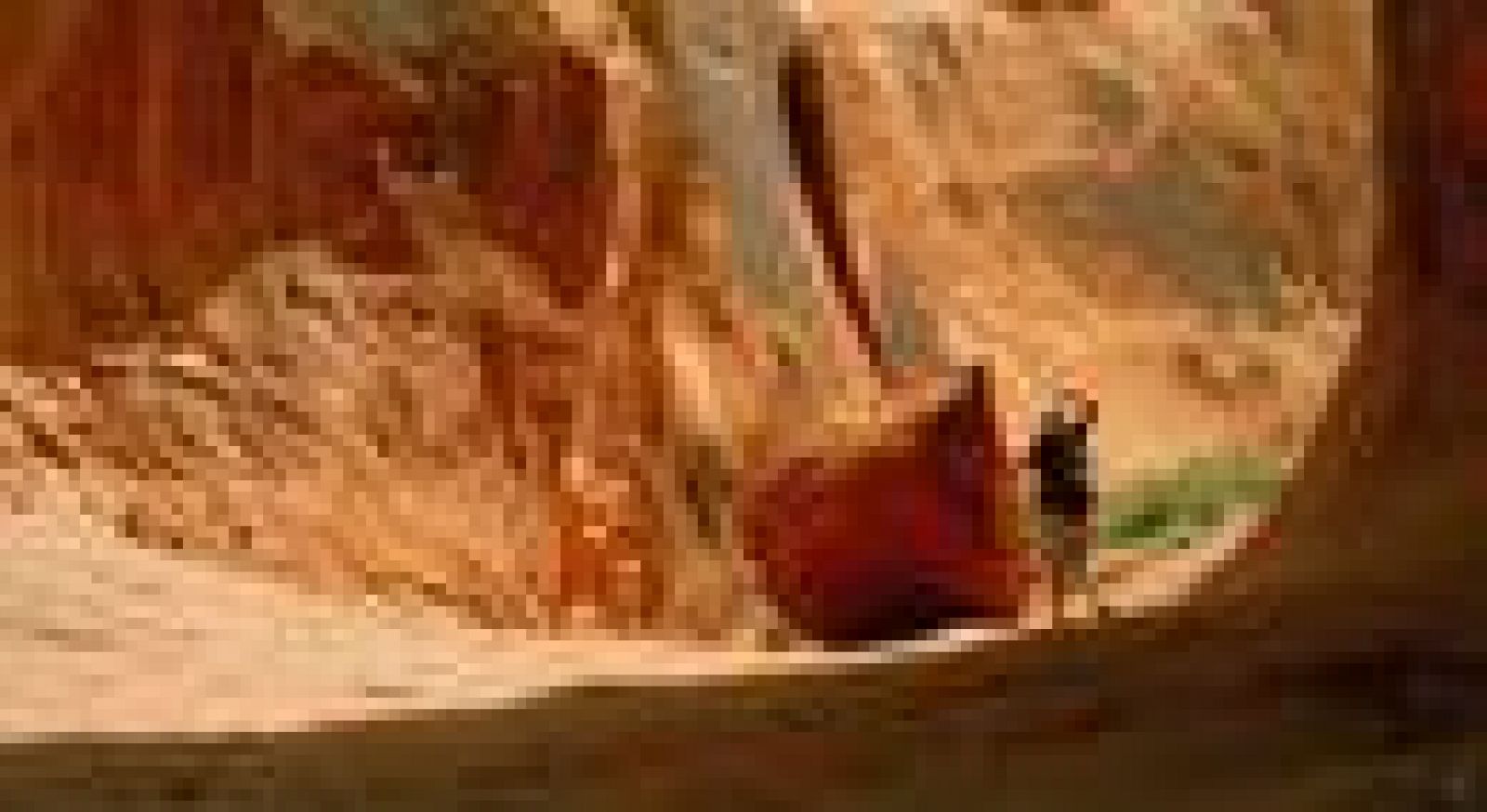 '127 horas', la nueva película de Danny Boyle tras el éxito de 'Slumdog millionaire'