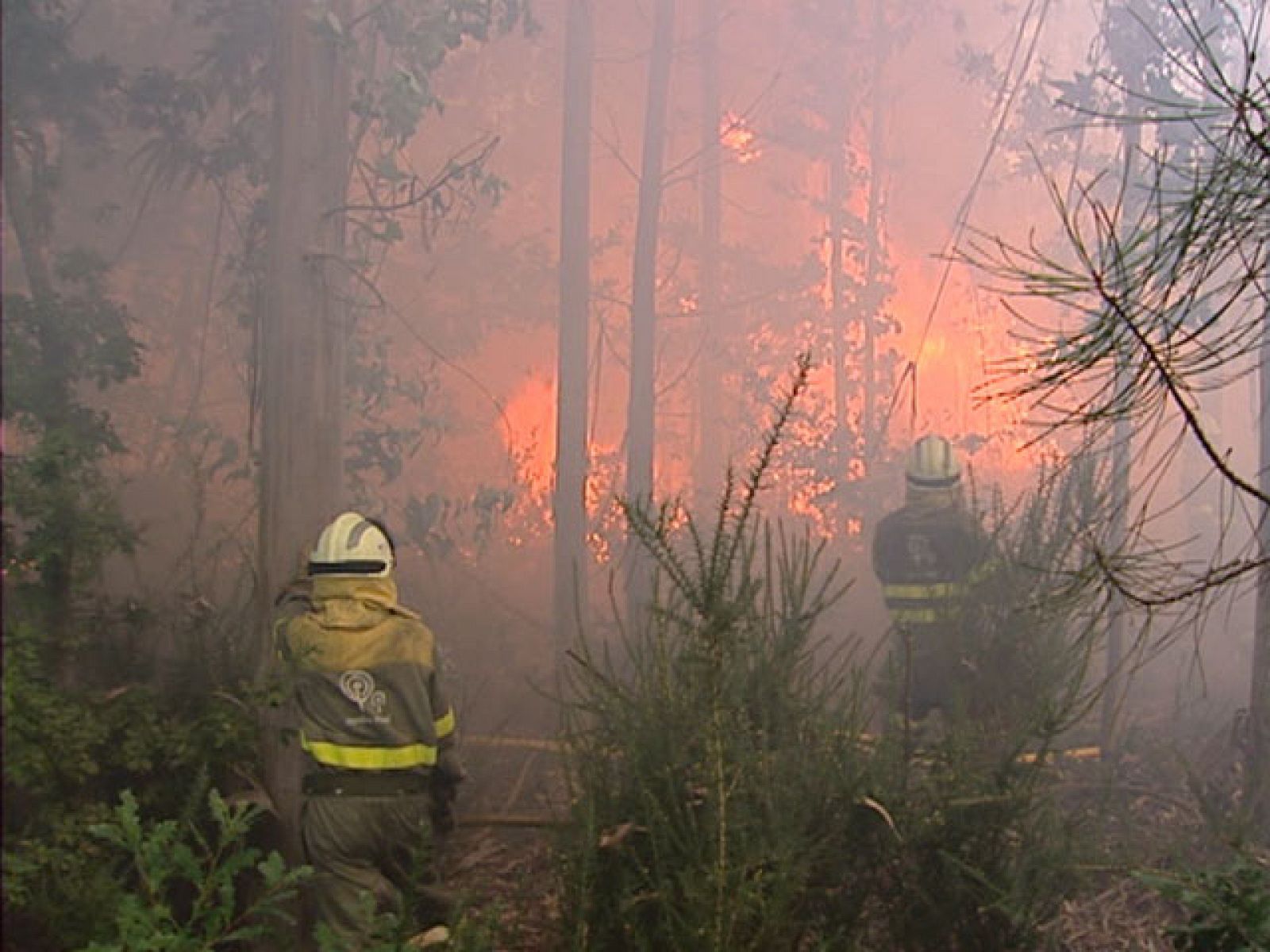 Reporteros del telediario - El 96% de los incendios que se producen en España son intencionados