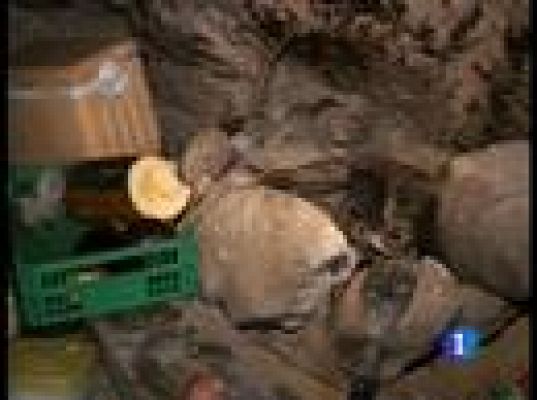  - Controlado el fuego de Ibiza