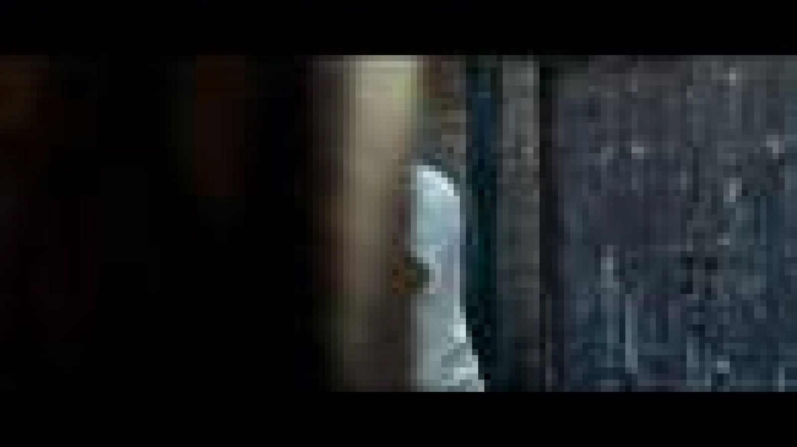 Tráiler: "Karate Kid" | Ver