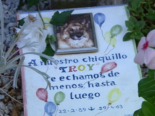 Cementerio para animales